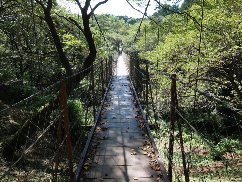 クレマチスの丘