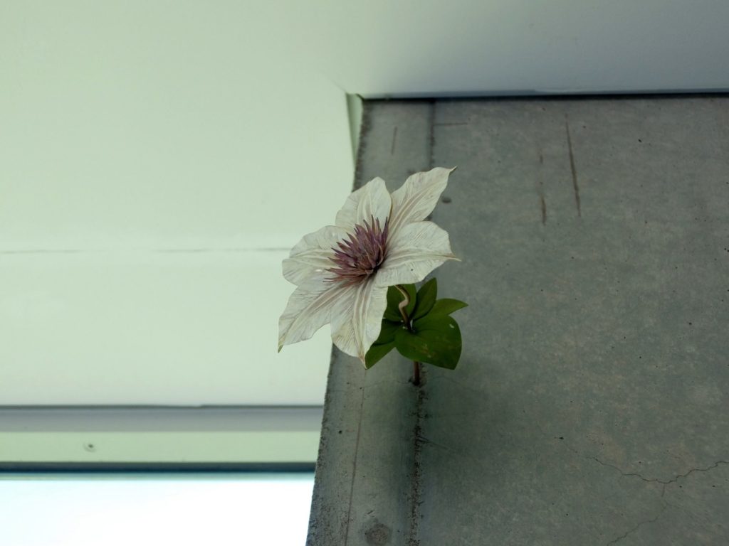 ヴァンジ彫刻庭園美術館