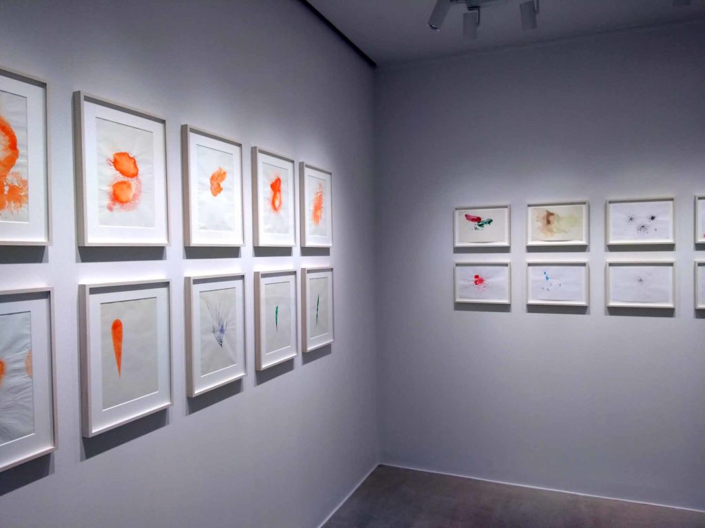 名和晃平 生成する表皮