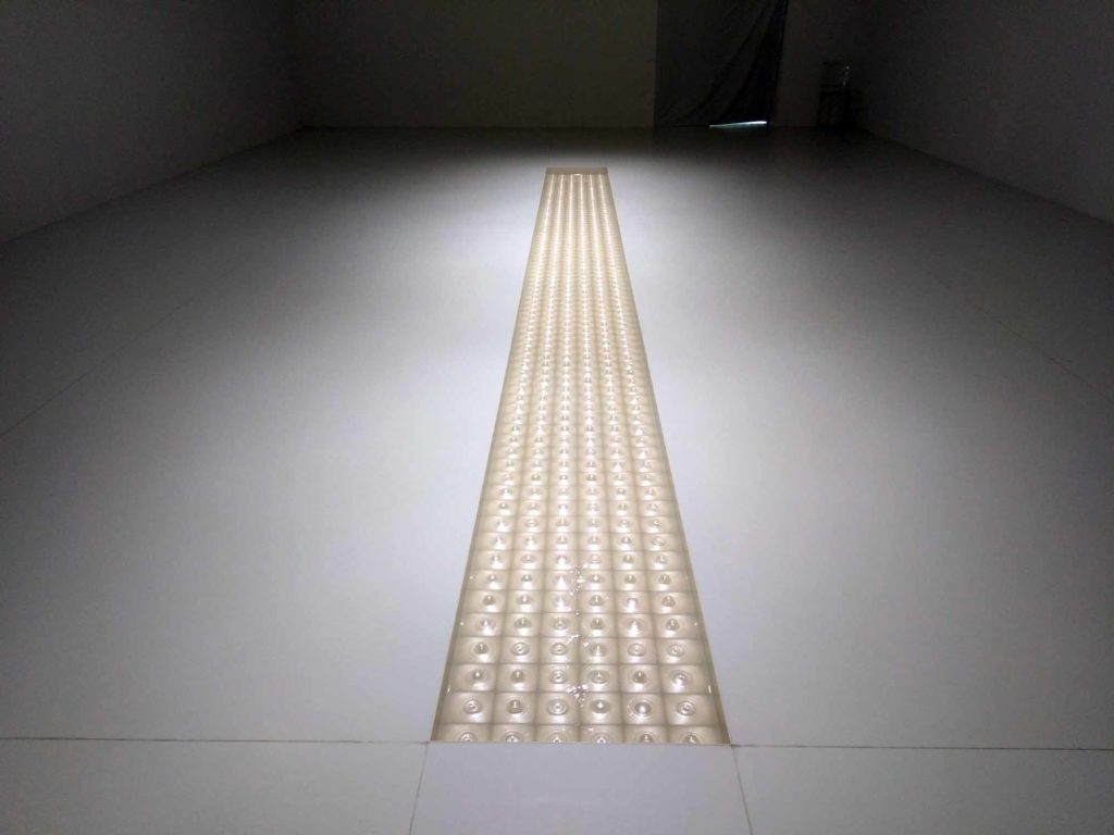 名和晃平 生成する表皮