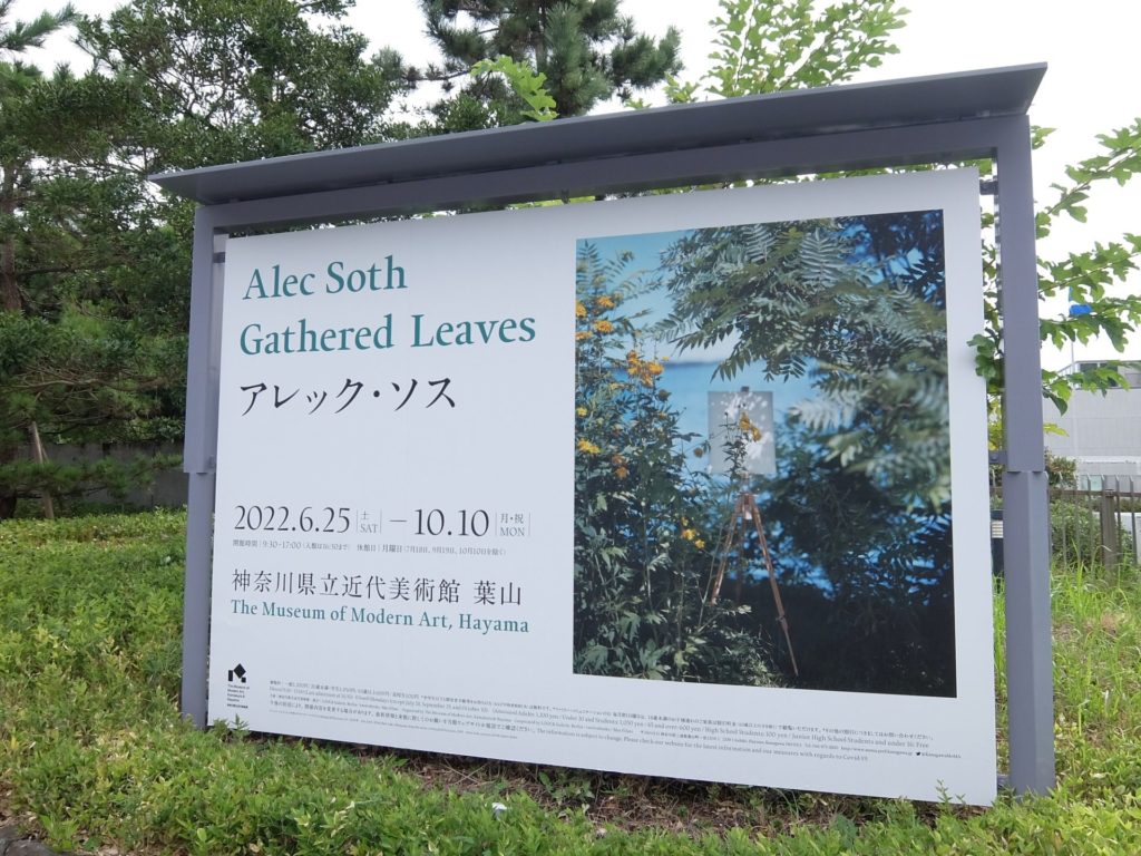 アレック・ソス展