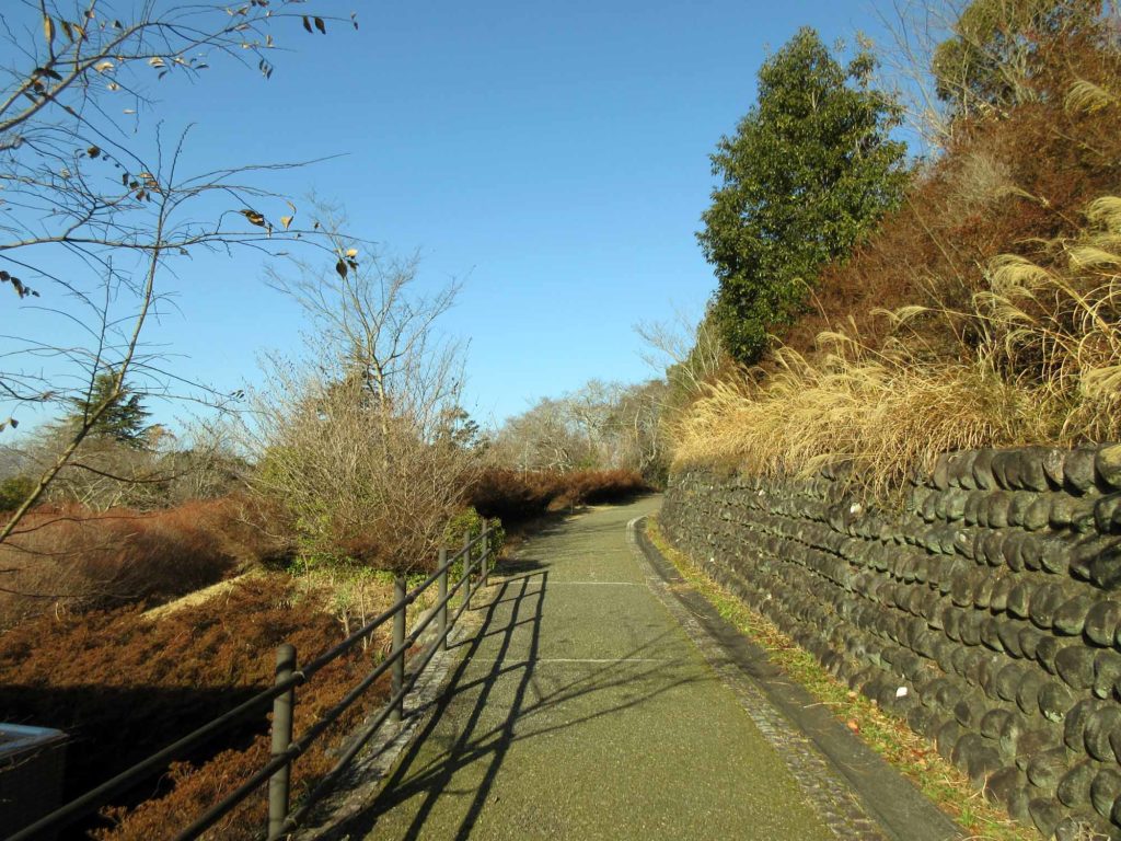 鴻池朋子「みる誕生」