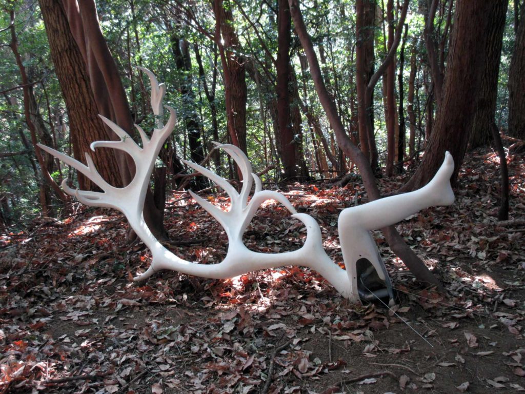 鴻池朋子「みる誕生」