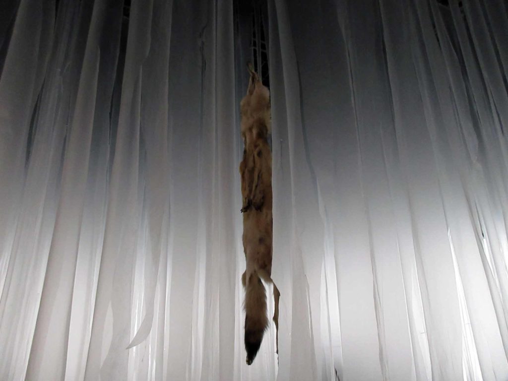 鴻池朋子「みる誕生」