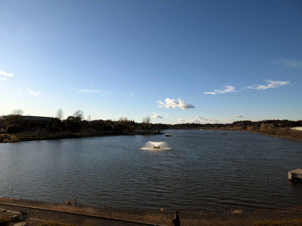 茨城県立近代美術館