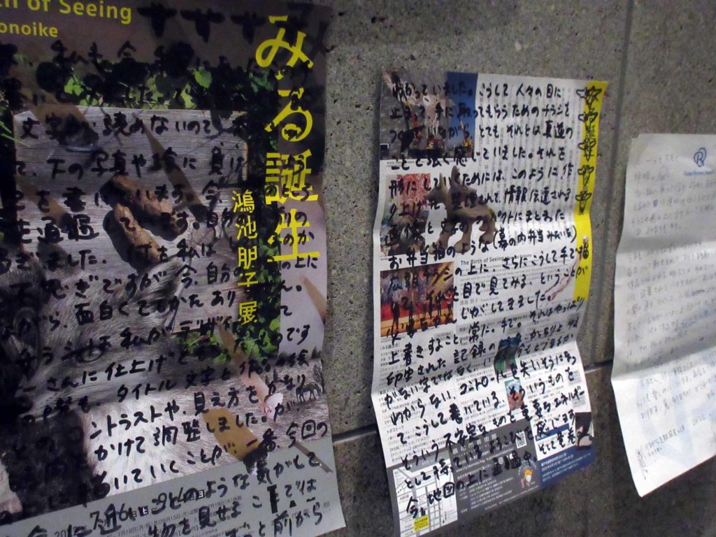 鴻池朋子「みる誕生」