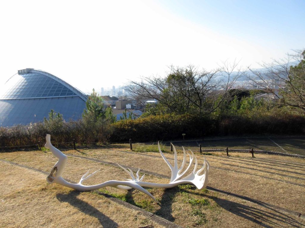 鴻池朋子「みる誕生」